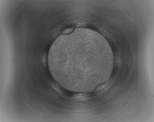 X0000111810082200909031439