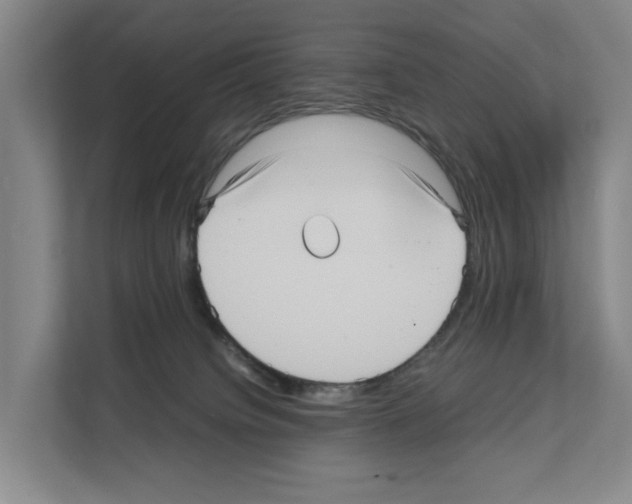 X0000111810084200909031439