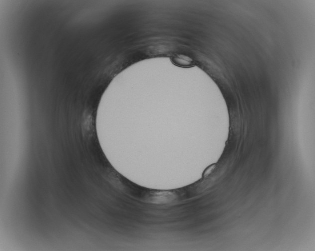 X0000111810087200909031439