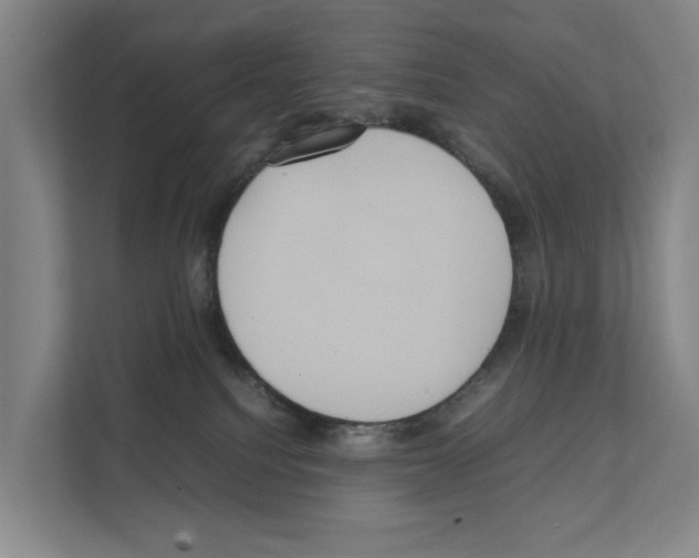 X0000111810088200909031439