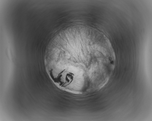 X0000111810089200909031439