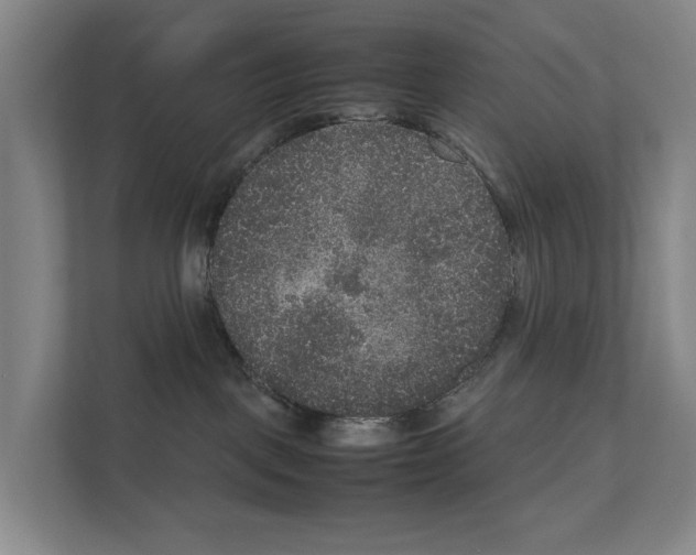 X0000111810093200909031439