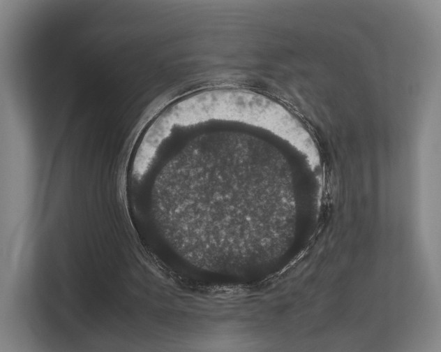 X0000111810099200909031438