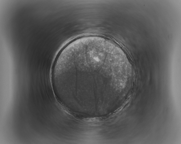X0000111810100200909031438