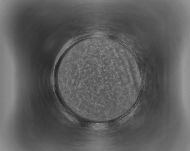X0000111810102200909031438