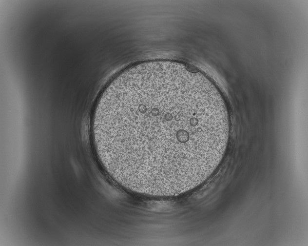 X0000111810107200909031438