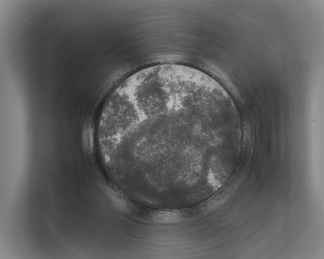 X0000111810110200909031438