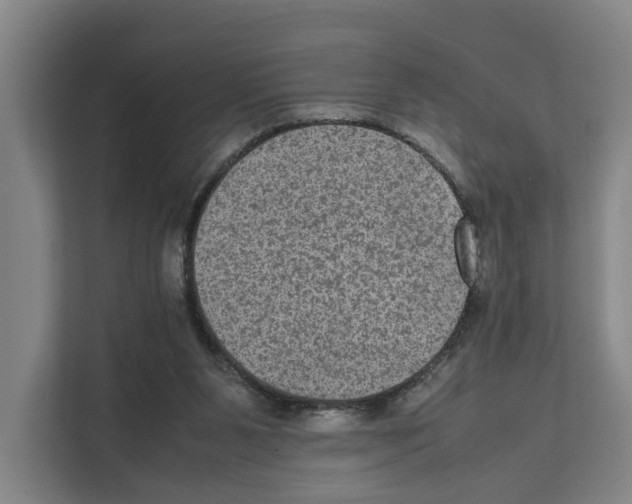 X0000111810111200909031438