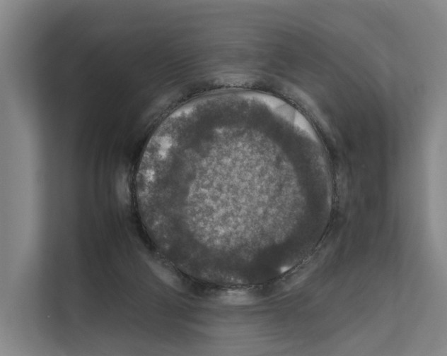 X0000111810114200909031438
