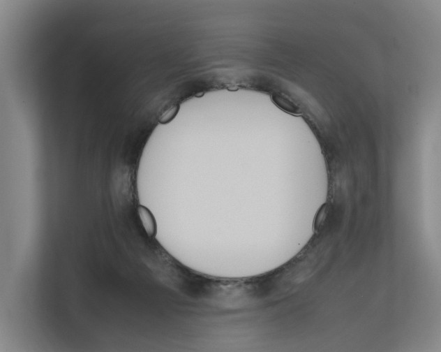 X0000111810121200909031438