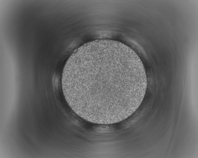 X0000111810123200909031438