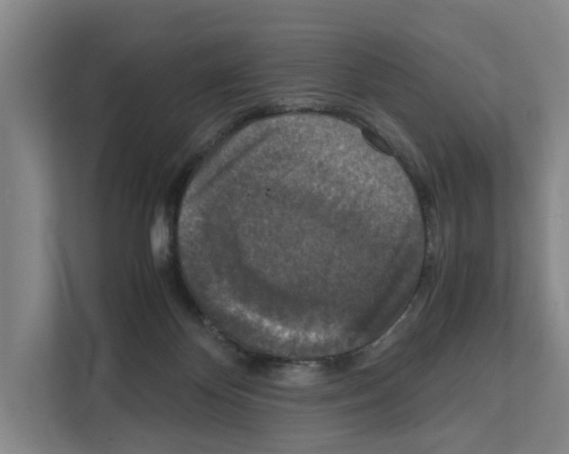 X0000111810124200909031438