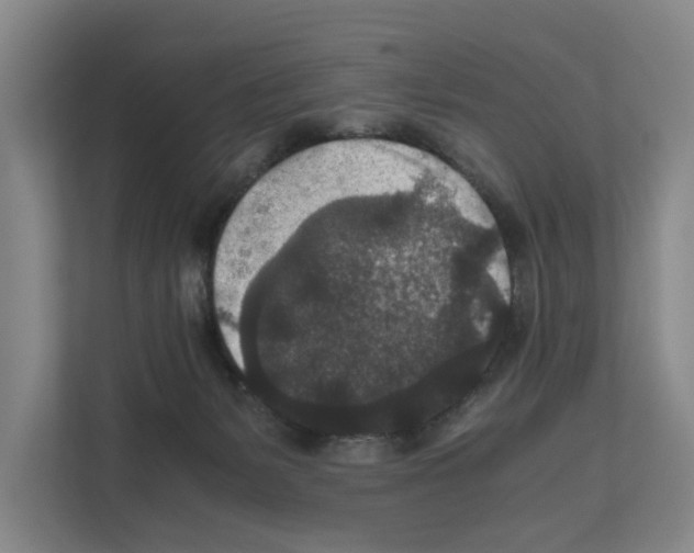 X0000111810127200909031438