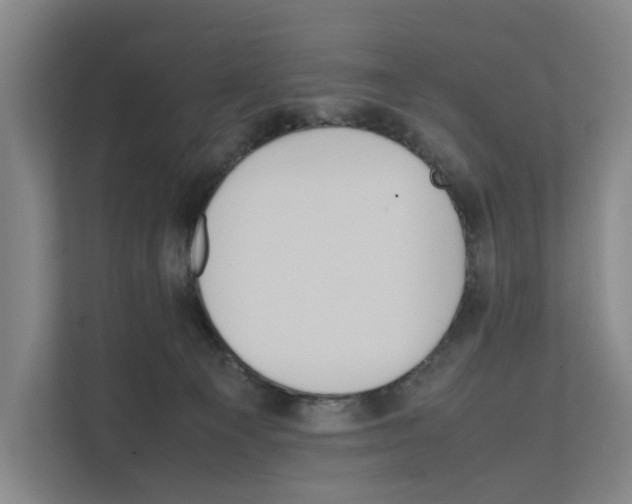 X0000111810129200909031438