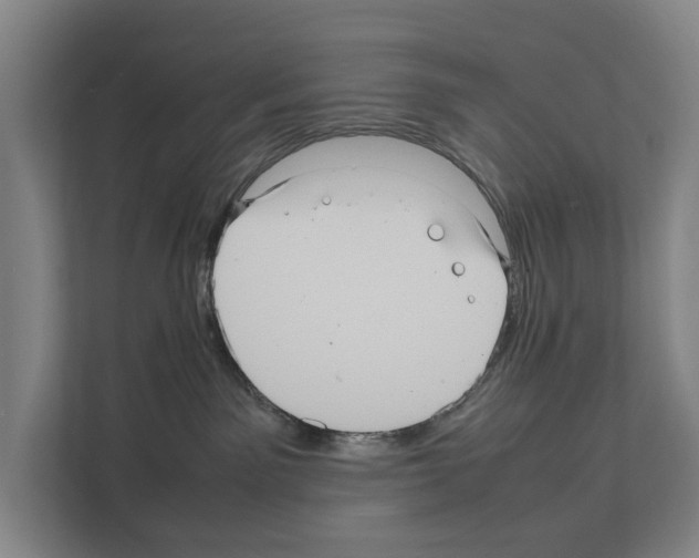 X0000111810141200909031438
