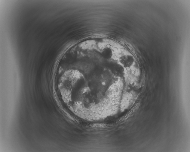 X0000111810145200909031437