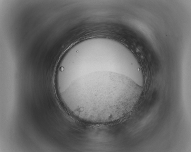 X0000111810146200909031437