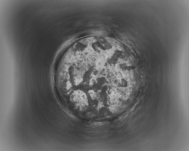X0000111810149200909031437