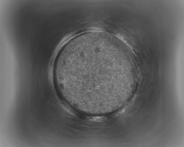 X0000111810151200909031437