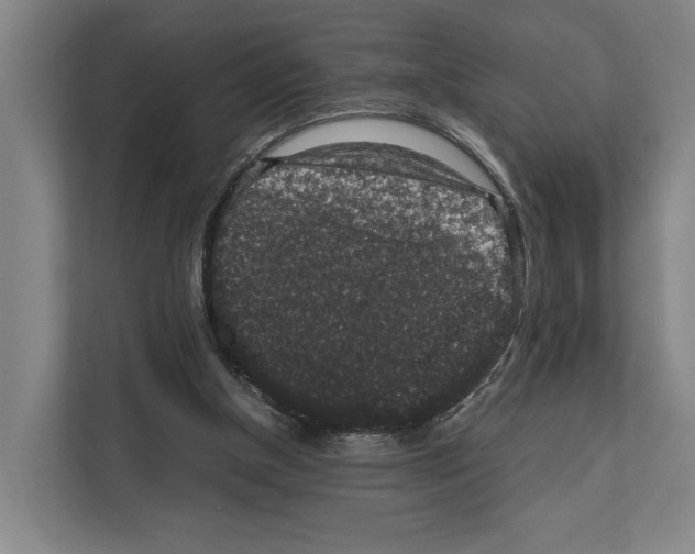 X0000111810154200909031437