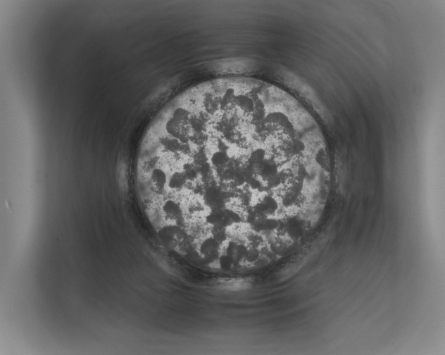 X0000111810161200909031437