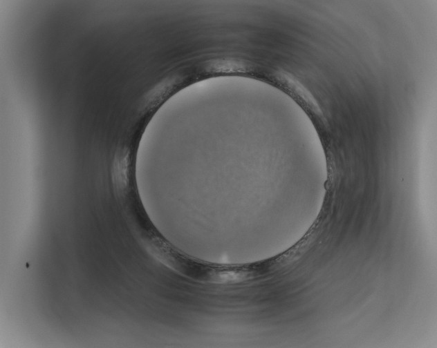 X0000111810163200909031437