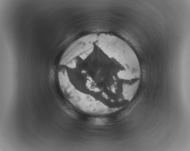 X0000111810165200909031437