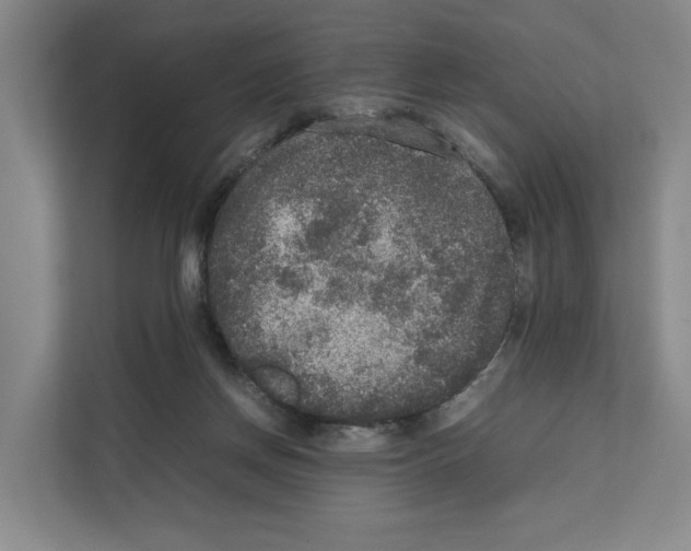 X0000111810166200909031437