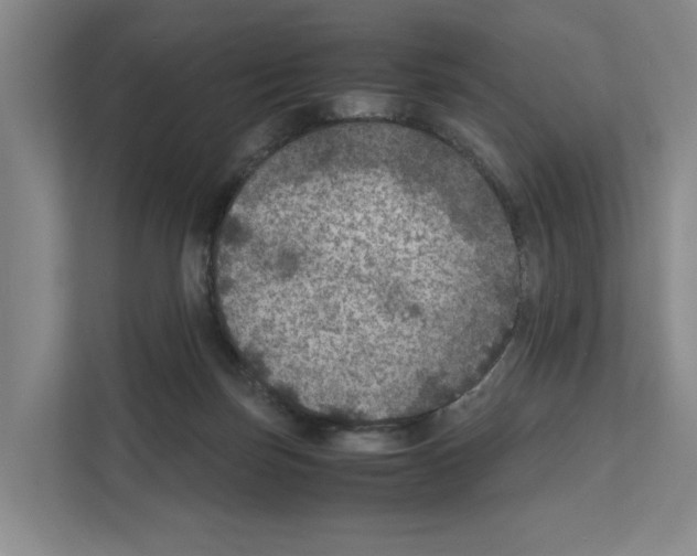 X0000111810171200909031437