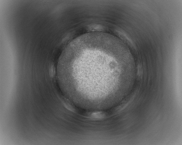 X0000111810173200909031437