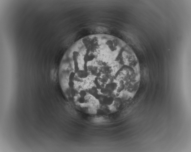 X0000111810177200909031438