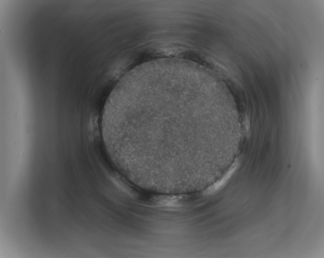 X0000111810182200909031438