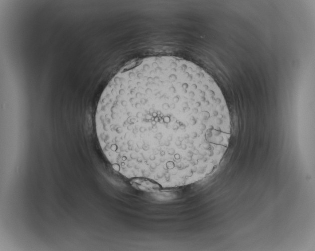 X0000111810183200909031438