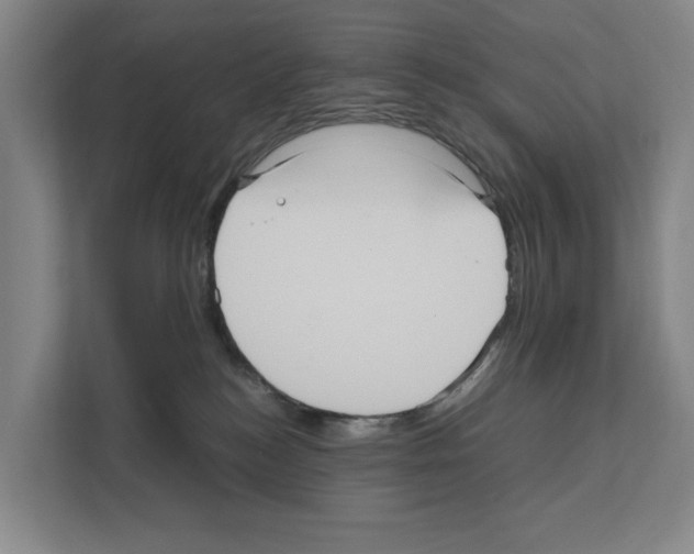 X0000111810184200909031438