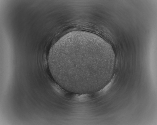 X0000111810186200909031438