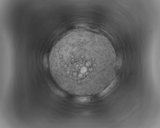 X0000111810187200909031438