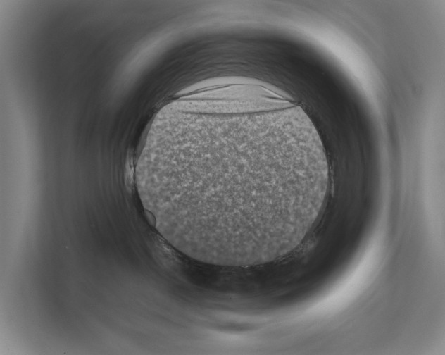 X0000111810190200909031438