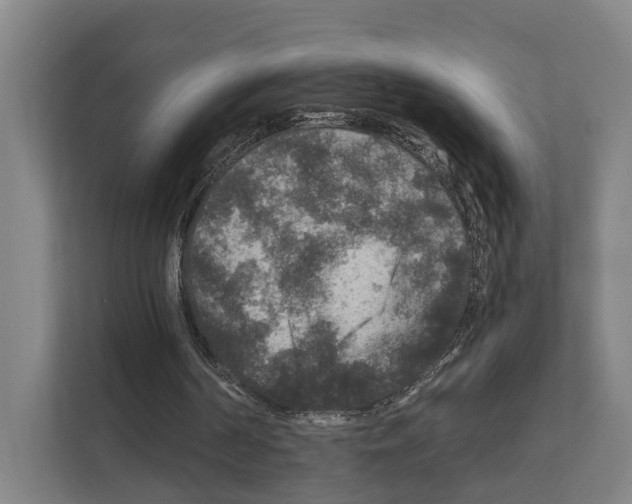 X0000111810194200909031437