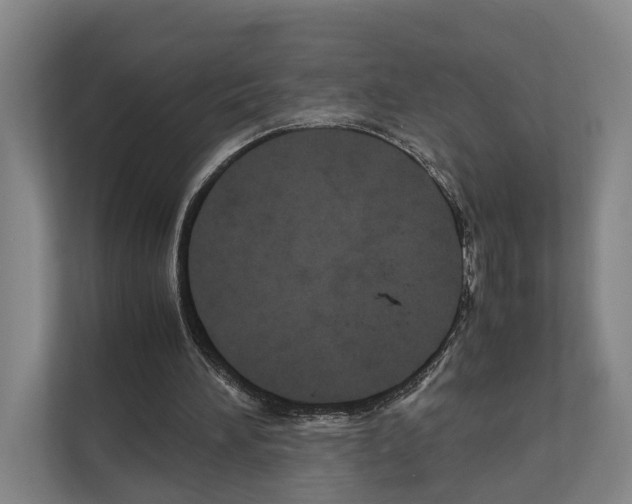 X0000111810196200909031437