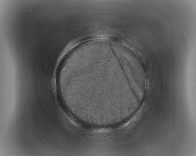 X0000111810198200909031437