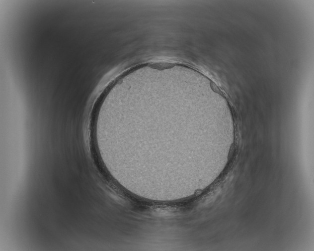 X0000111810199200909031437