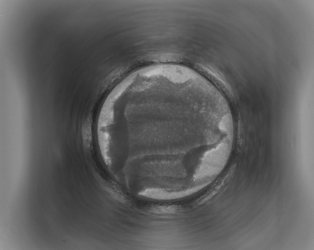 X0000111810202200909031437