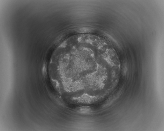 X0000111810214200909031437