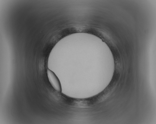 X0000111810221200909031437
