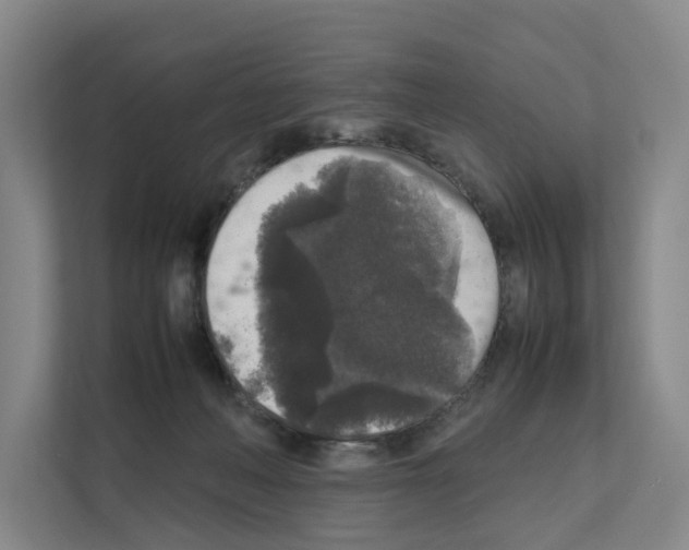 X0000111810222200909031437