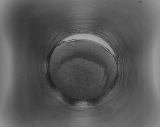 X0000111810227200909031437