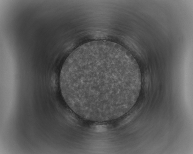 X0000111810228200909031437