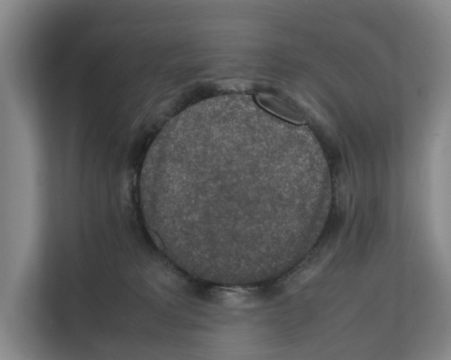 X0000111810229200909031437