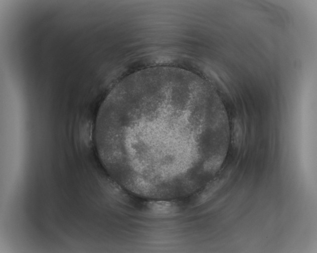 X0000111810230200909031437