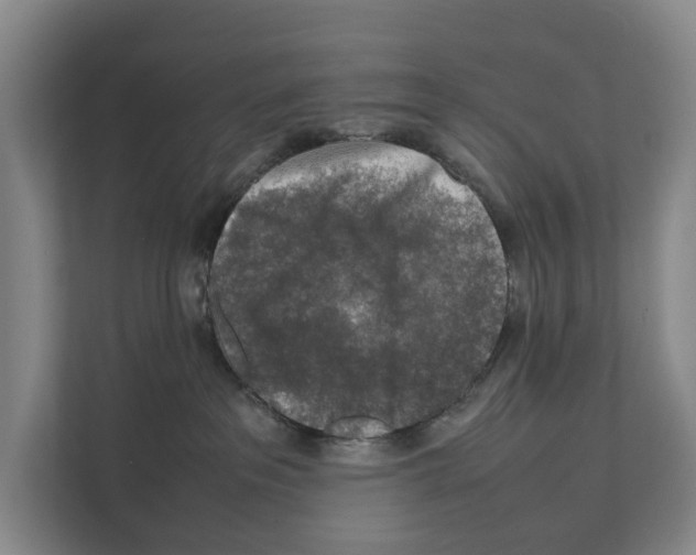 X0000111810237200909031437